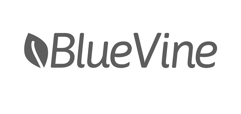 blue vine