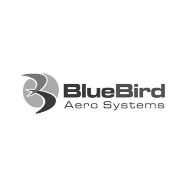 Bluebird Aerosystems